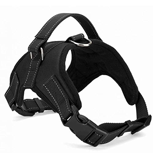 NX Hundehalsband, Leine, 4 Farben, S/M/L/XL, weich, verstellbar, Sicherheitsgurt, Handgürtel, Weste, Halsband, Haustier-Weste, Training, S, Schwarz NX Hundehalsband, Leine, 4 Farben, S/M/L/XL, weich, verstellbar, Sicherheitsgurt, Handgürtel, Weste, Halsband, Haustier-Weste, Training, S, Schwarz von N\X