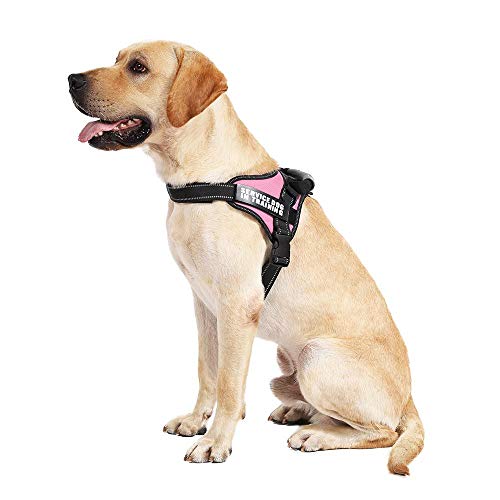 NX Reflektierendes Hundegeschirr für kleine und große Hunde, Haustiergeschirr, 5 Größen, XS, S, M, L, XL, Rosa von N\X