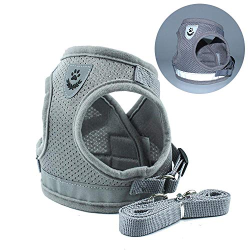 NX Reflektierendes Sicherheits-Hundegeschirr und Leine, Set für kleine und mittelgroße Hunde, Katzengeschirr, Weste, Welpen, Brustgurt, Mops, Chihuahua, Bulldogge, Größe M, Grau NX Reflektierendes Sicherheits-Hundegeschirr und Leine, Set für kleine und mittelgroße Hunde, Katzengeschirr, Weste, Welpen, Brustgurt, Mops, Chihuahua, Bulldogge, Größe M, Grau von N\X