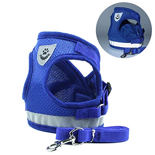 NX Reflektierendes Sicherheits-Hundegeschirr und Leine, Set für kleine und mittelgroße Hunde, Katzengeschirr, Weste, Welpen, Brustgurt, Mops, Chihuahua, Bulldogge, Größe XL, Blau NX Reflektierendes Sicherheits-Hundegeschirr und Leine, Set für kleine und mittelgroße Hunde, Katzengeschirr, Weste, Welpen, Brustgurt, Mops, Chihuahua, Bulldogge, Größe XL, Blau von N\X