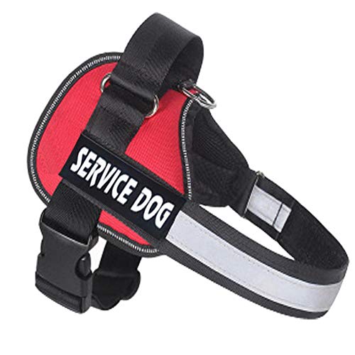 NX Verstellbares Nylon-Hundegeschirr, reflektierend, personalisiertes Hundegeschirr und Leine, für Hundeweste, Ausweis, personalisierbar, Größe XS, Rot NX Verstellbares Nylon-Hundegeschirr, reflektierend, personalisiertes Hundegeschirr und Leine, für Hundeweste, Ausweis, personalisierbar, Größe XS, Rot von N\X