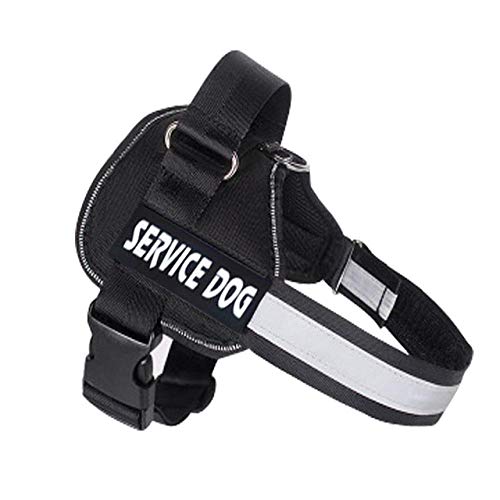 NX verstellbares Nylon-Hundegeschirr, reflektierend, personalisiertes Hundegeschirr und Leine, Set mit Hundeweste, Ausweis, personalisierbar, Größe L, Schwarz NX verstellbares Nylon-Hundegeschirr, reflektierend, personalisiertes Hundegeschirr und Leine, Set mit Hundeweste, Ausweis, personalisierbar, Größe L, Schwarz von N\X