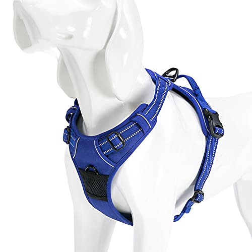 Reflektierendes Nylon-Hundegeschirr, für alle Wetterbedingungen, V-f?rmig, verstellbar, Sicherheitsleine für Haustiere, S43-56 cm Brustumfang, K?nigsblau von N\X
