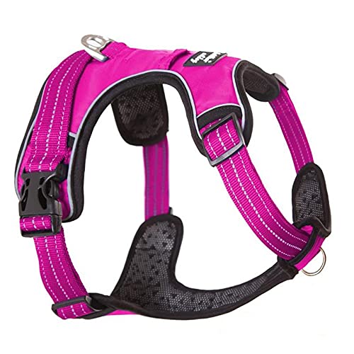Trainingsweste für große Hunde Sicherheitsgurte mittelgroße und große Hunde verstellbar Outdoor Schutzgurt Halsbänder Puppet L Rose von N\X