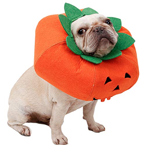 N / A Haustier Hund Halloween-kostüme, Dogcollar Kleidung für Kleine, Mittlere Hunde Kürbis Cosplayen Dekoration Cosplay Zubehör Halloween von Artist Unknown