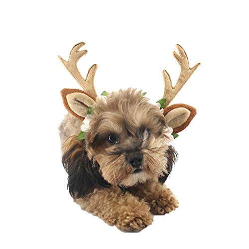 N / A Haustier Hundeweihnachtskostüme, Elch Stirnband Kleidung für Kleine Hunde und Katzen Cosplay Dekoration Cosplay Zubehör Weihnachten von N / A
