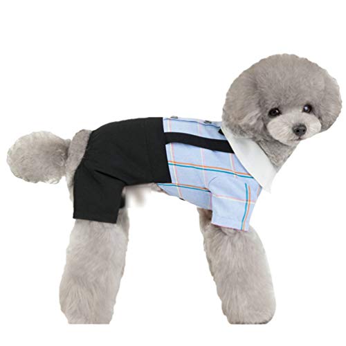 N / A Hundekleid, süßer Sommer-Rock für kleine Hunde, Weiche Baumwolle Haustier-Kostüme T-Shirt, Haustier Tutu Kleider (Blau#1, XS) von N / A