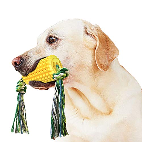 N / A Hundes Chew Spielzeug Zahnreinigung Lebensmittelausgabe Corn Form Chew Spielzeug für Aggressive Kauer Indestructible Interaktive Haustier Hund Spielzeug für Kleine, Mittlere Große Hunde von N / A