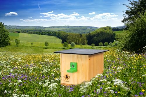 XXXL Hummelkasten Hummelhaus Hummelhotel Hummelhäuschen Hummelnistkasten Garten in Natur von N / A