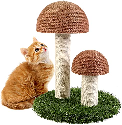 N Kratzpfosten für Katzen, Pilz, Kratzspielzeug für Katzen, Kätzchen, interaktives Spielzeug für Haustiere von N - A