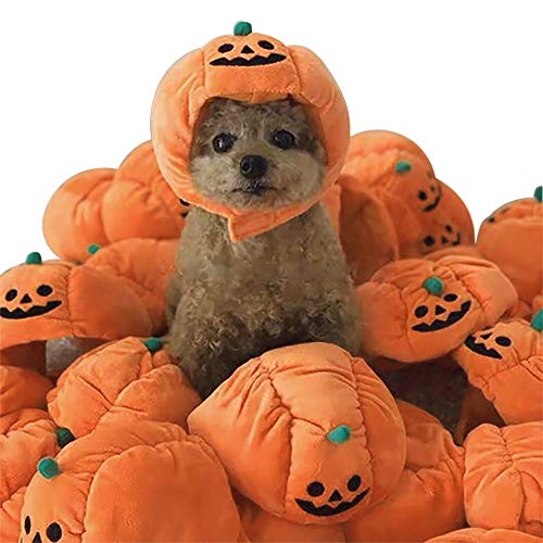 Pumpkin Kürbishut Halloween Kostüm für Hunde Katzen Cosplay Kostüm (10 – 25 kg) von N - A