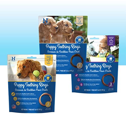 N-Bone Puppy Teething Ringe-Set, 3 Beutel, Hühnchen & Pumpkin & Erdnussbutter, insgesamt 3 Beutel, 280 ml, 9 Ringe N-Bone Puppy Teething Ringe-Set, 3 Beutel, Hühnchen & Pumpkin & Erdnussbutter, insgesamt 3 Beutel, 280 ml, 9 Ringe von N-Bone