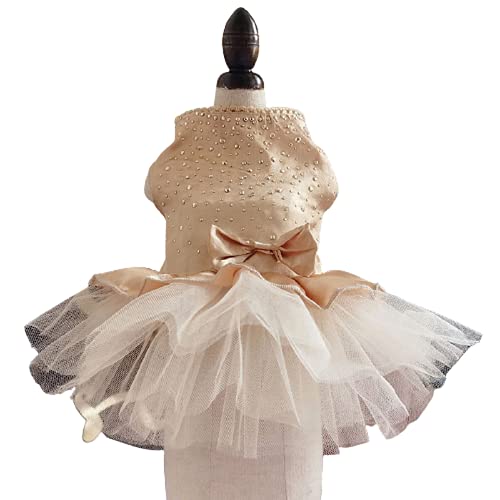 1Pc Champagner Sommer Haustier Kleidung Punkt Hundekleid für Hunde Rock Sommer Prinzessin Hund Brautkleider York Kleidung für Hunde Röcke Haustier Katze Kleid Practical Design and Durable von N-K