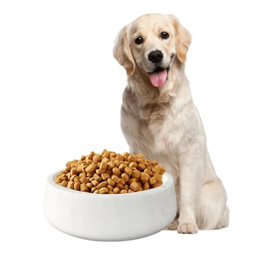 N NANSHOP NS037 NS037 Futternapf aus natürlichem Marmor, für große Rassen, mittelgroße Hunde, Futternapf, Futternapf für Wasser und Futter, bequem und langlebig N NANSHOP NS037 NS037 Futternapf aus natürlichem Marmor, für große Rassen, mittelgroße Hunde, Futternapf, Futternapf für Wasser und Futter, bequem und langlebig von N NANSHOP