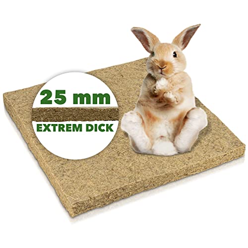 Nagerteppich Outdoor waschbar aus Hanf 40x40cm, extrem stark, 25mm dick, 1 Stück Hanfmatte Nagermatte von N Nagerteppich.de