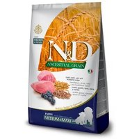 N&D Farmina Farmina N&D Ancestral Grain Medium/Maxi Puppy Lamm 12 kg von N&D Farmina