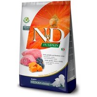 N&D Farmina Farmina N&D Pumpkin Medium/Maxi Puppy Lamm 2x12 kg von N&D Farmina