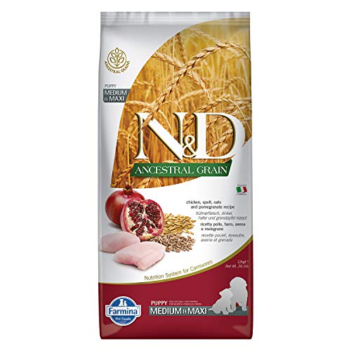 Farmina N&D ANCESTRAL GRAIN Pellets Hundefutter (Trockenfutter, mit hochwertigen Vitaminen und natürliche Antioxidantien, ohne Mais, Zutaten: Huhn, Dinkel, Hafer und Granatapfel, Portionsgröße: 12 kg) von N&D