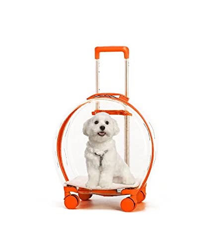 N&P Honhan Transporttasche für Haustiere, mit Rollen, transparent, für Welpen, Hunde, Katzen, mit Rollen, leicht zu transportieren für Reisen im Auto. von N&P