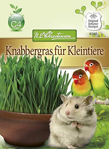 N.L. Chrestensen 4580 Knabbergras für Kleintiere (Kleintiersaaten) von N.L.Chrestensen