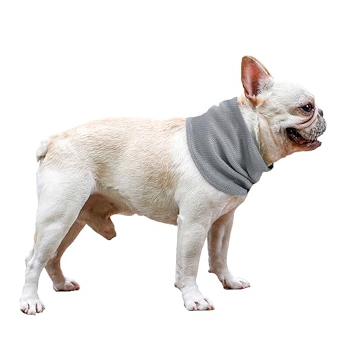 NACOCO Kühlender Sommer-Schal für Hunde, 2 Stück, sofortiges Halstuch, atmungsaktiv, Halsband mit Loch für die Leine, für Outdoor, heißes, weiches Chill-Out-Handtuch, Größe S, M, Bulldogge (L) von NACOCO