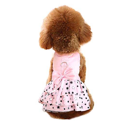 NACOCO Sternkleid für kleine Hunde mit Leine, süßer Spitzenrock, süße Sommerkleidung (rosa, XXS) von NACOCO