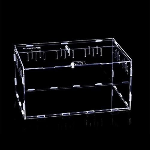 Futterbox Transparenter Behälter Acryl Terrarium für Spinnen Kleine Schlange Reptilien Träger Einfach zu Montieren Reptilien Futterbox Zuchtbox Acryl Mittel Groß Lebensraum Schlange Spinnen von NAIXUE