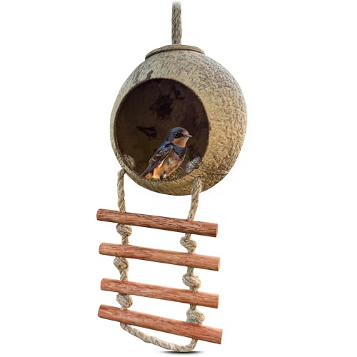 Namture Handgefertigtes Kokosnuss-Vogelhaus – Recycelte Kokosnussschale, Vogelfutterstation im Leiterstil, Wetterfester Nistkasten für kleine Vögel, Garten- und Tierliebhaber Namture Handgefertigtes Kokosnuss-Vogelhaus – Recycelte Kokosnussschale, Vogelfutterstation im Leiterstil, Wetterfester Nistkasten für kleine Vögel, Garten- und Tierliebhaber von NAMTURE