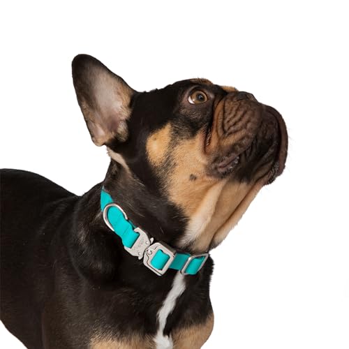 Nandog Pet Gear Hundehalsband, wasserdicht, Poly-Flex, Größe M, Aquablau von NANDOG