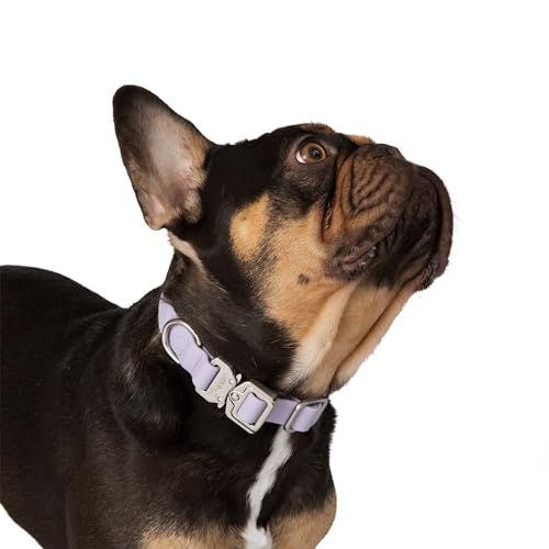 Nandog Pet Gear Hundehalsband, wasserdicht, Poly-Flex, Größe M, Lila von NANDOG