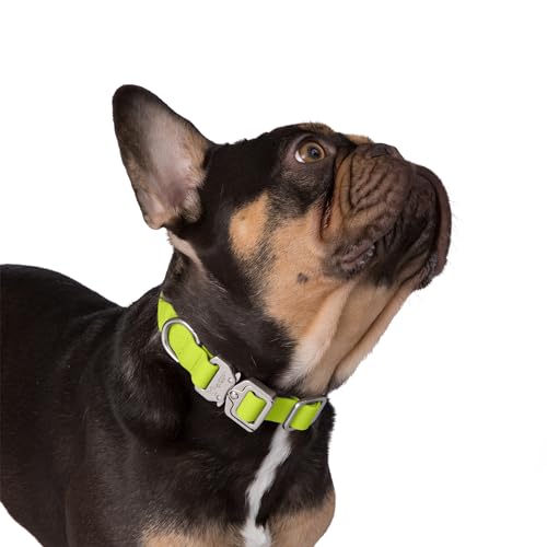 Nandog Pet Gear Hundehalsband, wasserdicht, Poly-Flex, Größe M, Neongrün von NANDOG