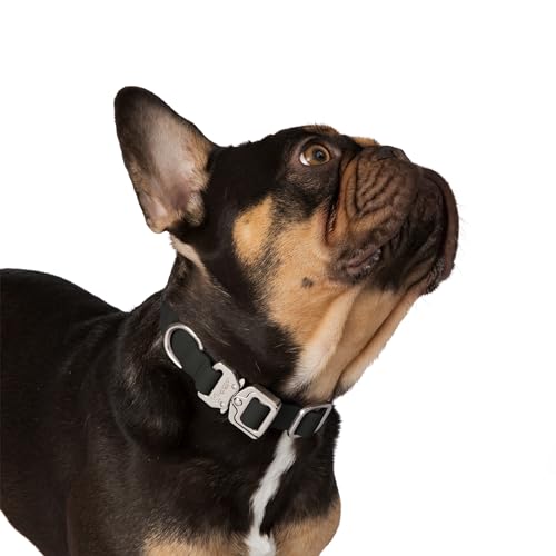 Nandog Pet Gear Hundehalsband, wasserdicht, Poly-Flex, Größe S, Schwarz von NANDOG