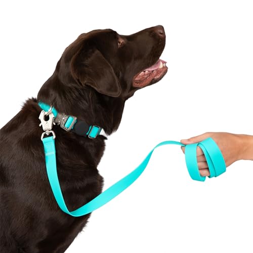 Nandog Pet Gear Wasserdichte Poly-Flex-Sport-Hundeleine mit Doppelverriegelungstechnologie für zusätzliche Sicherheit und Schutz, Aquablau, Größe M/L von NANDOG