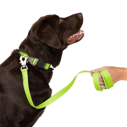 Nandog Pet Gear Wasserdichte Poly-Flex-Sport-Hundeleine mit Doppelverriegelungstechnologie für zusätzliche Sicherheit und Schutz, Neongrün, Größe M/L von NANDOG