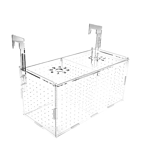 NANEEZOO Fischzuchtbox – Acryl-Aquarium-Fischzüchter Isolationsbox für Aquarien, transparente Inkubatorbox mit Saugnäpfen für Clownfische, Guppy, Neugeborene, Babyfische (30,5 x 15,2 x 15,2 cm) von NANEEZOO