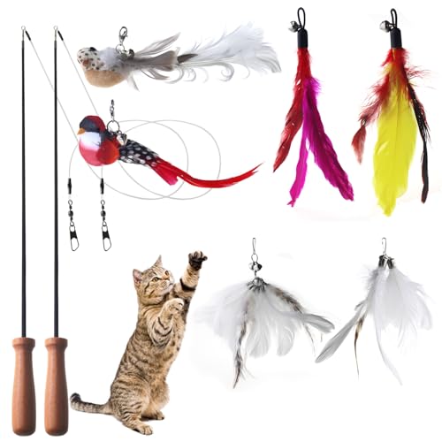 NANEEZOO katzenspielzeug Interaktives - Katzenspielzeug mit 2 Katzenangel 2 Vogel und 4 Federn Spielzeug für Kitten - Intelligenz Spielzeug mit Federn NANEEZOO katzenspielzeug Interaktives - Katzenspielzeug mit 2 Katzenangel 2 Vogel und 4 Federn Spielzeug für Kitten - Intelligenz Spielzeug mit Federn von NANEEZOO
