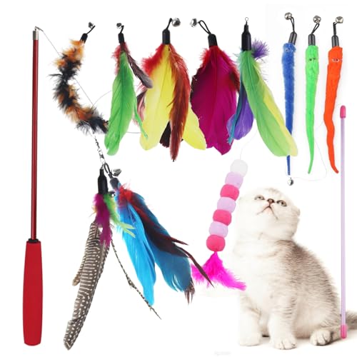 NANEEZOO Katzenspielzeug - Federspielzeug für Katzen, 12 Stück Katzen Spielzeug mit Ersatzfedern mit Anhänger Feder Glocke Befestigungen und Katzenangel - Interaktives Katzenspielzeug für Katzen NANEEZOO Katzenspielzeug - Federspielzeug für Katzen, 12 Stück Katzen Spielzeug mit Ersatzfedern mit Anhänger Feder Glocke Befestigungen und Katzenangel - Interaktives Katzenspielzeug für Katzen von NANEEZOO