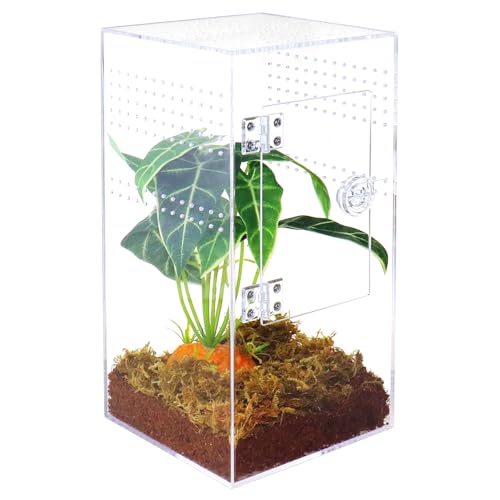 NANEEZOO Springspinnengehege mit Fronttür, 15,2 x 15,2 x 30,5 cm, Reptilien-Zuchtbox, Mikro-Habitat-Terrarium für kleine Baumbewohner, Reptilien, Spinnen, Mantis und Wirbellose NANEEZOO Springspinnengehege mit Fronttür, 15,2 x 15,2 x 30,5 cm, Reptilien-Zuchtbox, Mikro-Habitat-Terrarium für kleine Baumbewohner, Reptilien, Spinnen, Mantis und Wirbellose von NANEEZOO
