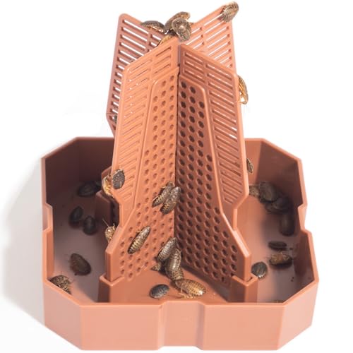Chamäleon Futternapf – Premium Reptilien-Futterspender mit Anti-Flucht und hygienischem Design für Eidechse, Gecko, Kröte, Frosch und mehr (Braun, S) von NASIDE