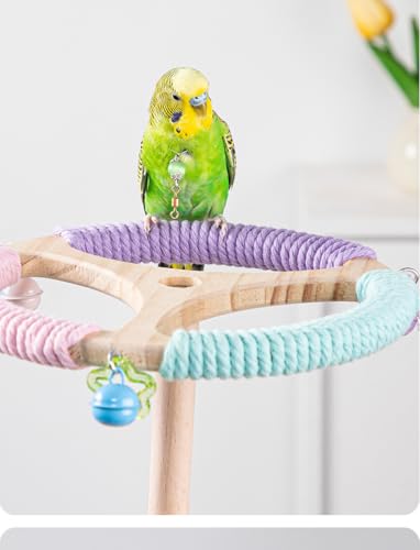 Vogelständer-Sitzstange, drehbares Übungsrad, 21 cm, Holzstange mit Glocken, Käfigzubehör für Sittiche, Wellensittiche, Nymphensittiche Vogelständer-Sitzstange, drehbares Übungsrad, 21 cm, Holzstange mit Glocken, Käfigzubehör für Sittiche, Wellensittiche, Nymphensittiche von NASIDE