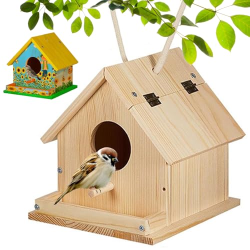 Bird House 6x6x6 Vogelhütte mit Feeder, Barsch, Eingangsloch und offenbarer Deckel DIY Friendly unbemalte hängende hölzerne Kolibri -Haus mit Loop & Haken auf dem Rücken von NASSMOSSE