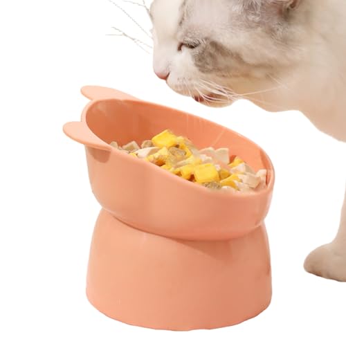 Erhöhte Katzenschalen 5x4, 5 Zoll Bären Design 35 ° schäbige erhöhte Katzenschüssel stetig leichtes Waschhund -Feeder für Zuhause Erhöhte Katzenschalen 5x4, 5 Zoll Bären Design 35 ° schäbige erhöhte Katzenschüssel stetig leichtes Waschhund -Feeder für Zuhause von NASSMOSSE