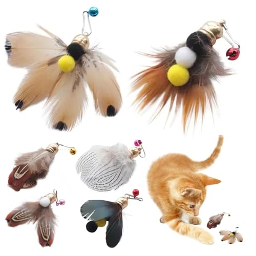 Katzenstabspielzeug, 6pcs Katzenfederspielzeug nachfüllten, interaktiver Katzenspielzeugstab, Katzenfeder, Federkatze Spielzeug, Ersatzkatze -Teaser -Zauberstab, natürlicher Katzenfederstab mit Glock von NASSMOSSE
