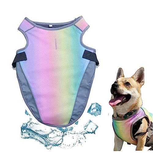 Kühlweste für Hunde, atmungsaktiv, Hitzschlag-Prävention, Netzgewebe, Regenbogenfarben, Kühljacken für Hunde, Polyester, dreilagig, kühlender Mantel, verstellbarer Riemen, für kleine und mittelgroße Kühlweste für Hunde, atmungsaktiv, Hitzschlag-Prävention, Netzgewebe, Regenbogenfarben, Kühljacken für Hunde, Polyester, dreilagig, kühlender Mantel, verstellbarer Riemen, für kleine und mittelgroße von NASSMOSSE