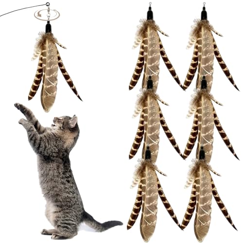 NASSMOSSE 6pcs Katzenfedern Spielzeug, natürliche Vogelfedern Katzenstandaufsätze, interaktiver Spielzeug Ersatz für Katzen Kätzchen Kratzerübung Innenräume NASSMOSSE 6pcs Katzenfedern Spielzeug, natürliche Vogelfedern Katzenstandaufsätze, interaktiver Spielzeug Ersatz für Katzen Kätzchen Kratzerübung Innenräume von NASSMOSSE