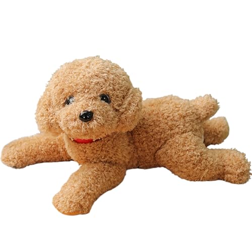 NASSMOSSE Dogday Plüschhund Plüsch niedliche lebhafte Teddy gefülltes Welpenspielzeug 14 Zoll Baumwolle gefülltes Hundespielzeug mit Kragen dekorativ gefülltem Hund für Couchsofa, Beige, Beige von NASSMOSSE