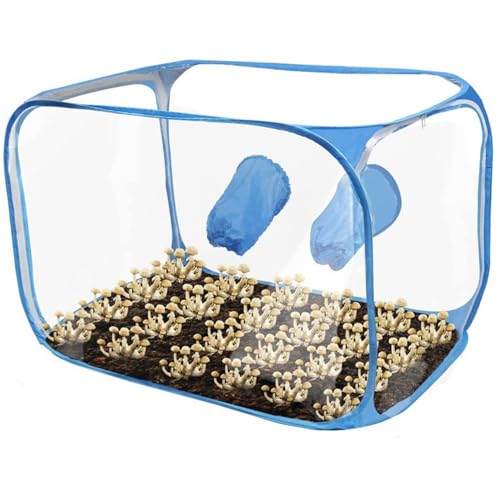 Still Air Box, 36x23x23 Zoll Transparentes Pilzanbauzelt, PVC -Wachstumszelt, Faltbare tragbare Pilzanbau -Box für Spores Gartenbauzubehör Still Air Box, 36x23x23 Zoll Transparentes Pilzanbauzelt, PVC -Wachstumszelt, Faltbare tragbare Pilzanbau -Box für Spores Gartenbauzubehör von NASSMOSSE
