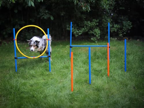 NATIV LEMODO Agility Set Hunde | Hundetraining mit Agility Hürde und Sprungring | Einfach zu transportierendes Hundetraining Zubehör | Einsteiger-Set in den Hundesport von NATIV