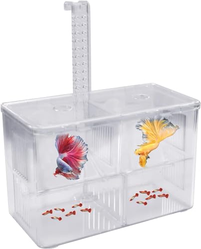 Natuce Isolationsbox Aquarium Acryl, Aquarium Zuchtbox mit Saugnäpfen, Aufzuchtbecken Aquarium Transparent, Fisch Ablaichkasten, Laichkasten für Aquarium, Fischzucht Kasten für Garnelen Jungfiisch von NATUCE