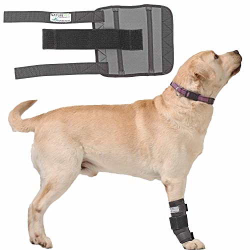 Medium Vorderlauf Bandage für Hunde, Karpal Gelenk- & Knochenschutz für Hunde - geeignet für leichte Gelenkinstabilitaeten - leichte Bänderdehnungen - Leckschutz und Verbandschutz nach OP (M) von Nature Pet